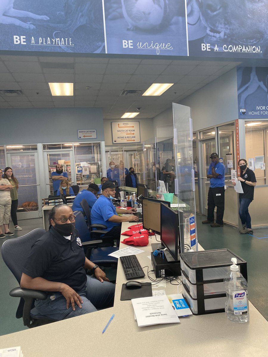 DallasShelter's tweet image. We’re ready for you to help us #ClearTheShelters from 11 AM - 6 PM and out kennels are FULL! See pets at Bedallas90.org/pets @ClearTheShelter @NBCDFW