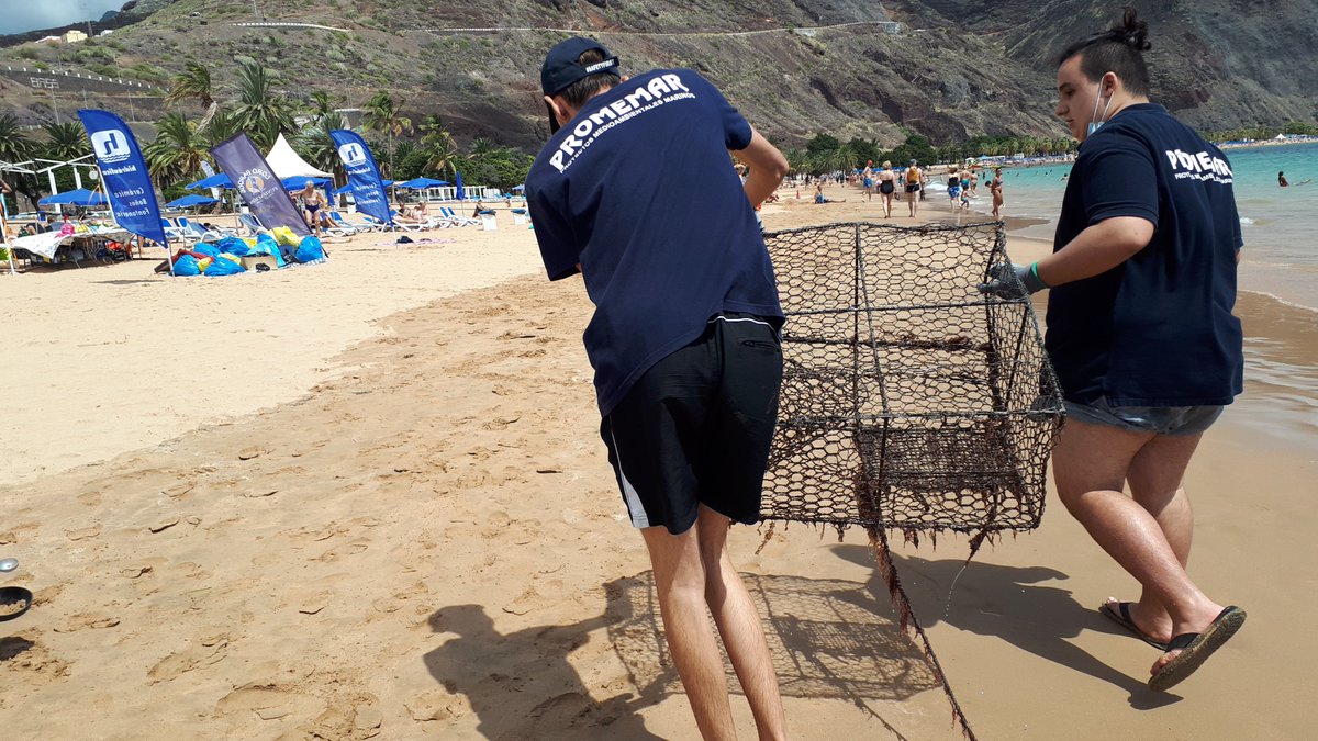 Proyectos Medioambientales Marinos tweet media