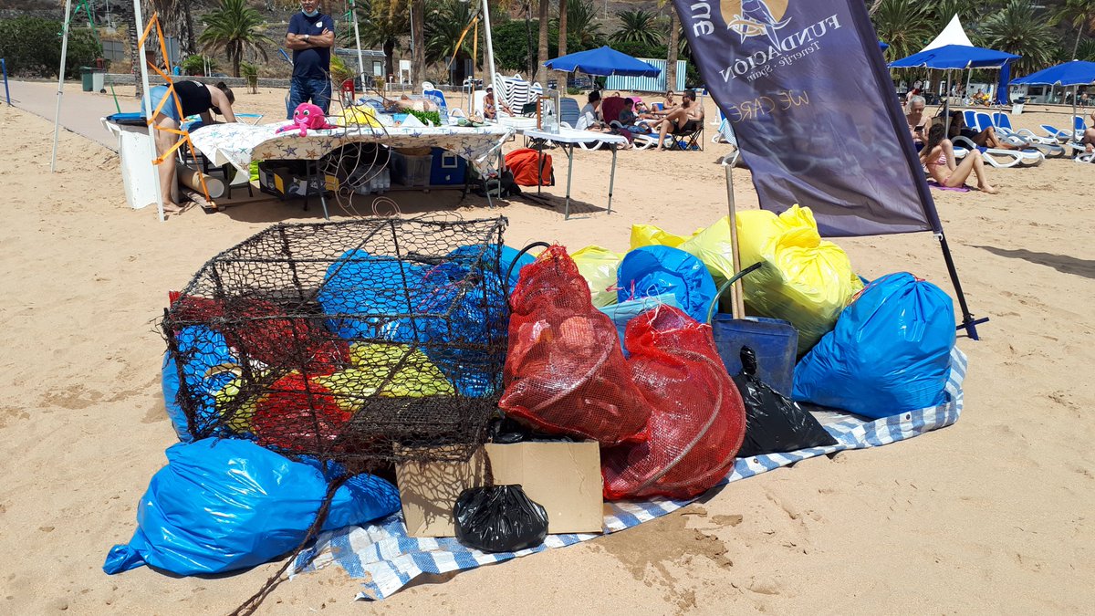 Proyectos Medioambientales Marinos tweet media