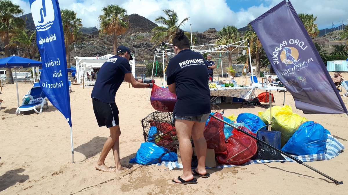 Proyectos Medioambientales Marinos tweet media