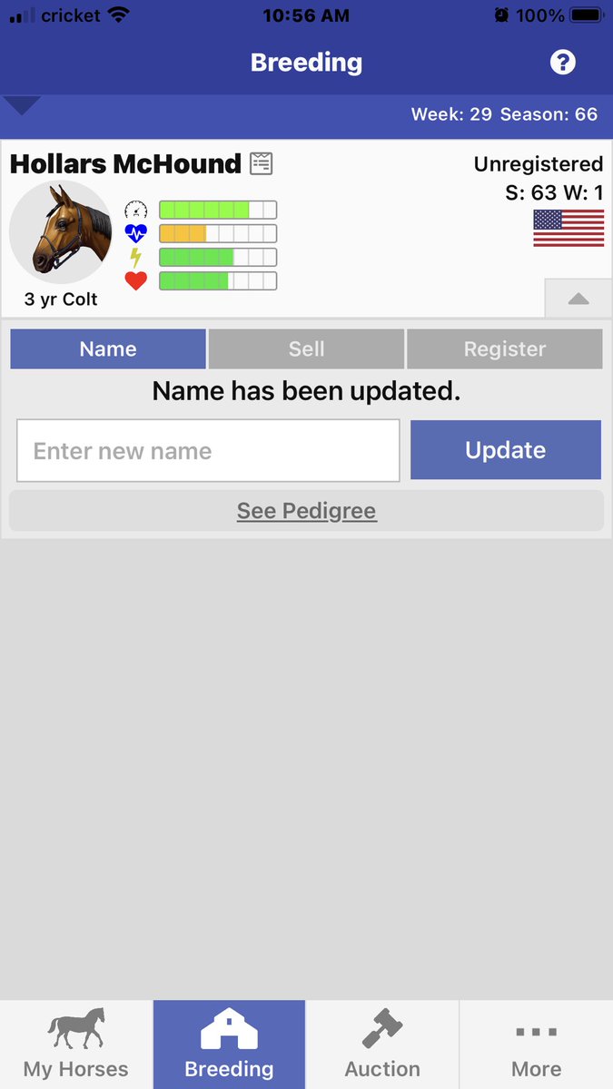 Just turned still growing 3yo <a href="/AndPacing/">Off and Pacing</a> in auction at global
