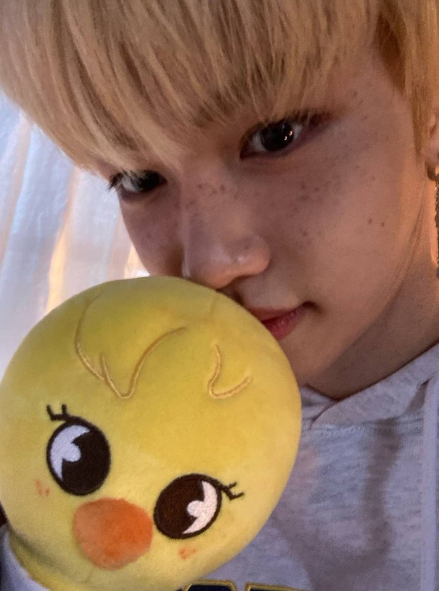 achieeeve's tweet photo. mini!#hyunlix au где феликс любит читать и постоянно добавляет в свою корзину все новые и новые книги, а хенджин решил их оплатить. https://t.co/FbpEryS8GY