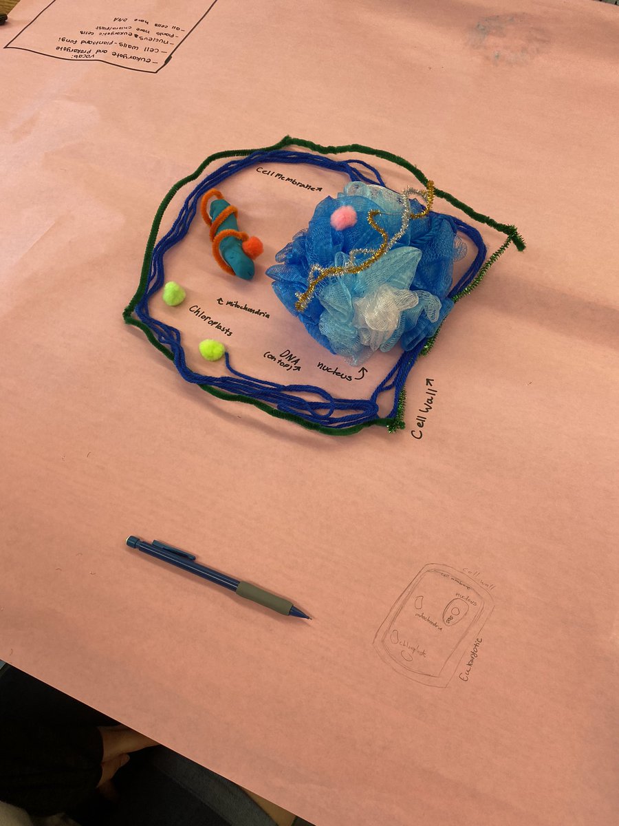 Cayzeeleclass's tweet photo. Preparing for our unit on cells when we return by activating our prior knowledge!  #7thgradecells @WoodstockMS https://t.co/UYPSGN0pvY