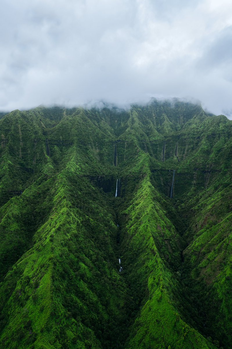 nick_eliz's tweet photo. Oceans of green https://t.co/4RTT32fiV5