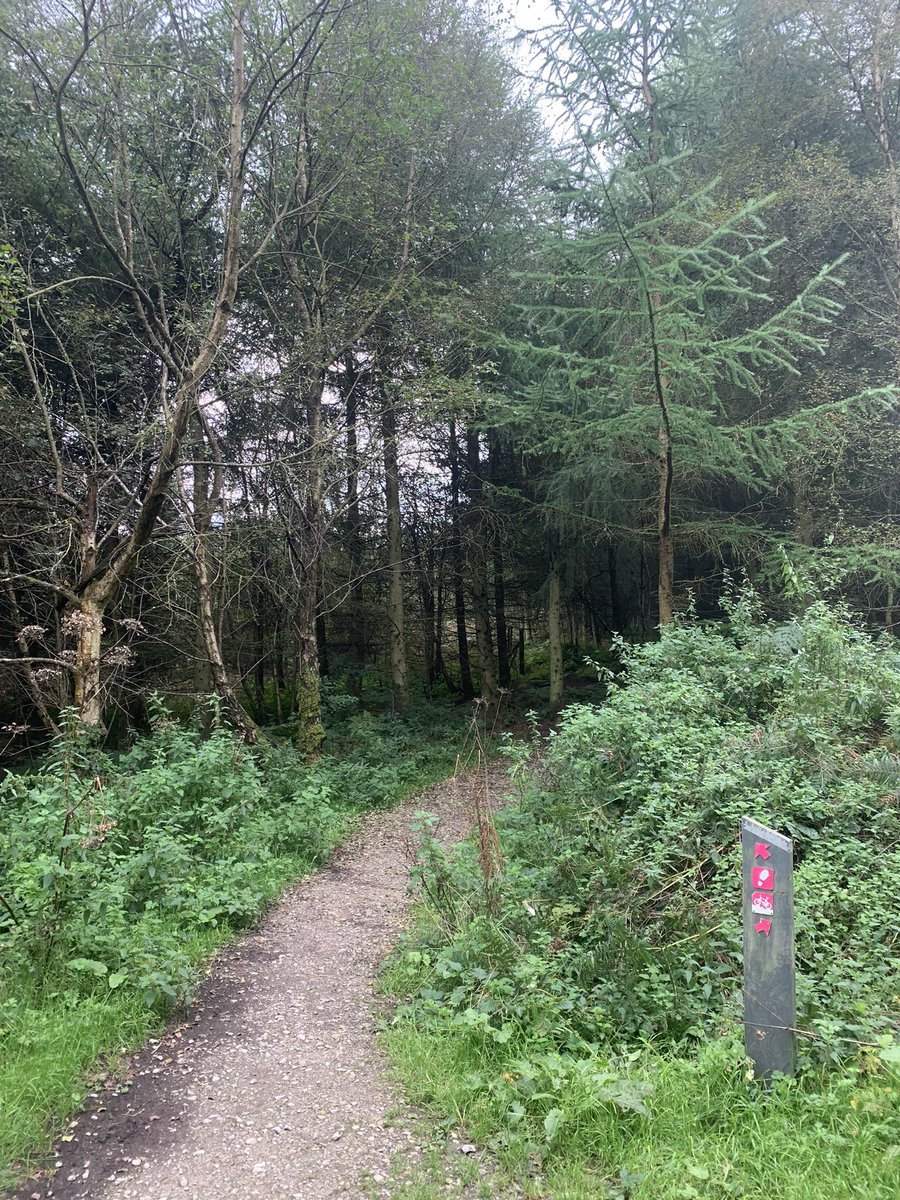 Natalie Thomas (@welshnatthomas) on Twitter photo 2 miles in the beautiful Welsh hills for #RaceforRecipients #OrganDonationWeek. Every mile counts, let’s do this! <a href="/northwestodst/">@NorthwestODST</a> <a href="/NHSOrganDonor/">NHS Organ Donation💗🫀🫁</a> @SalfordRoyalNHS <a href="/SalfordRoyalCCU/">Salford Royal Critical Care</a> 2 miles in the beautiful Welsh hills for #RaceforRecipients #OrganDonationWeek. Every mile counts, let’s do this! <a href="/northwestodst/">@NorthwestODST</a> <a href="/NHSOrganDonor/">NHS Organ Donation💗🫀🫁</a> @SalfordRoyalNHS <a href="/SalfordRoyalCCU/">Salford Royal Critical Care</a>