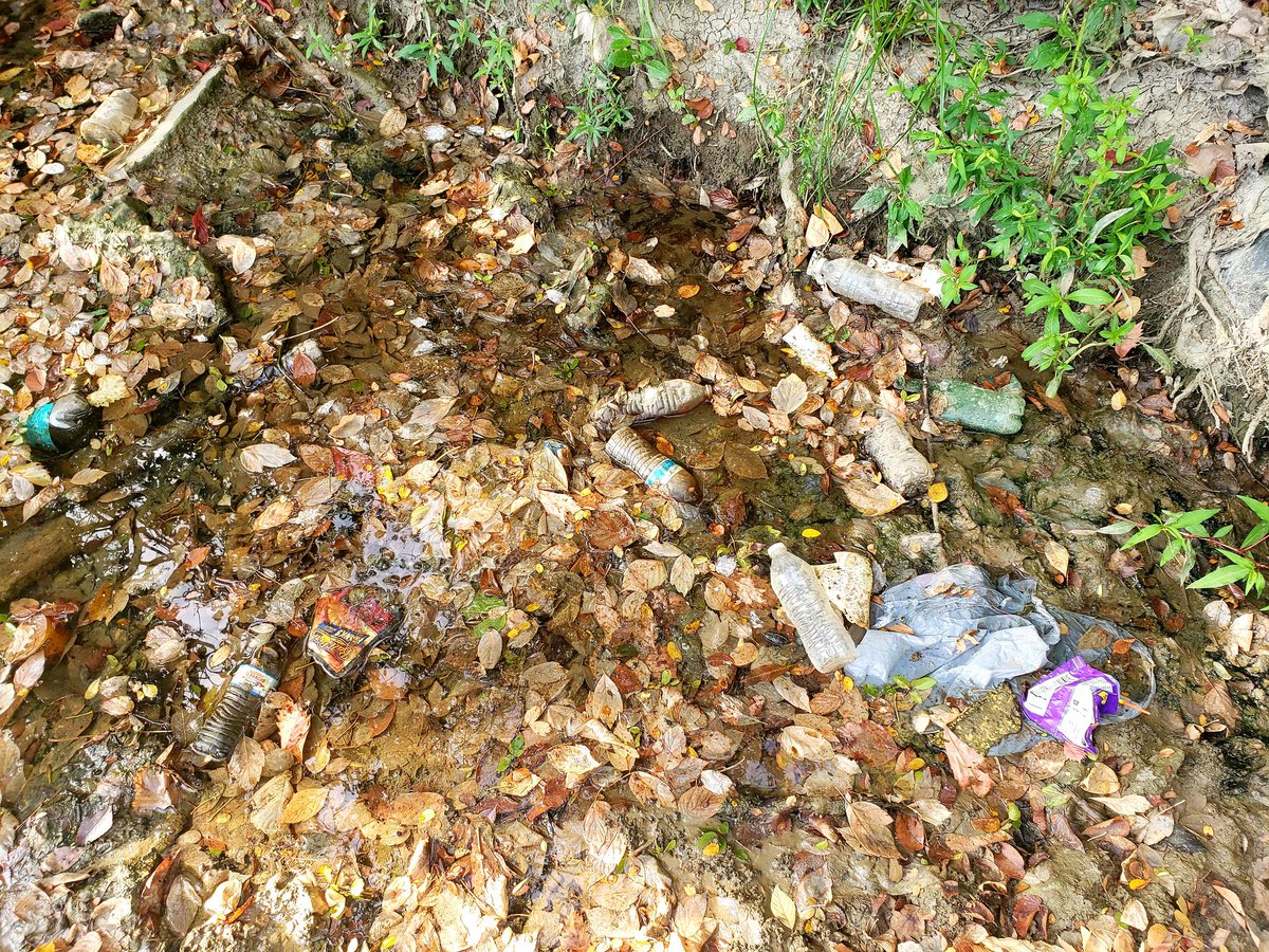 Great morning of service for #TRWDtrashbash <a href="/TRWD_News/">TRWD</a>. Next time will bring Ts and Ss from <a href="/NISDOLC/">Northwest ISD OLC</a> to serve and learn. Have some odd finds to catalog <a href="/litterati/">Litterati</a> ! 
Give a hoot and don't pollute people! Some of this stuff shouldn't be here!