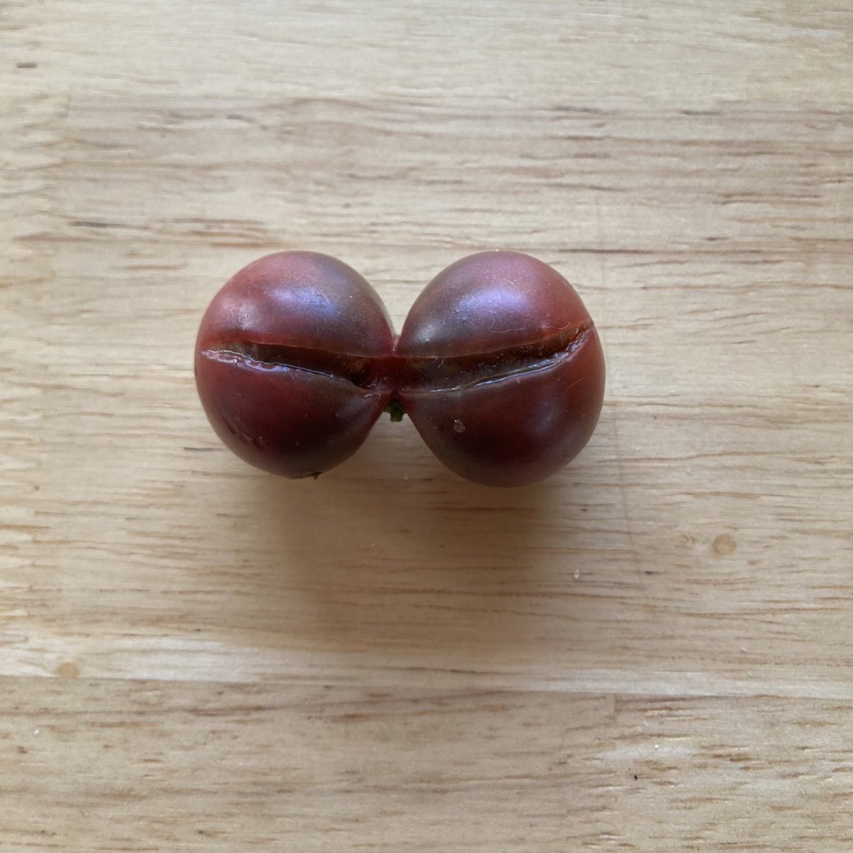 "Don't you dare bug me before I've had my coffee."
.
📷 <a href="/diosaalx6/">Bridgette Wells</a> 
🖍 me