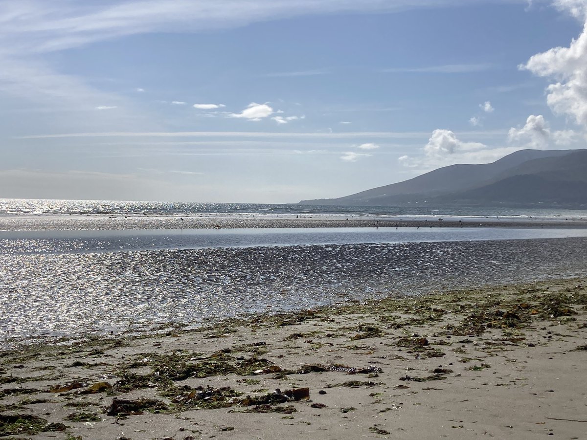 CrawfordDorcas's tweet image. Co.Down at its best &amp;amp; made better by brunch at Railway Street Cafe #nobaddays #loveSaturdays