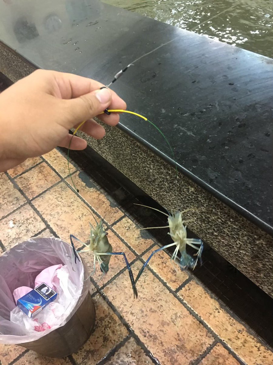 back_520's tweet photo. 🦐🦐🦐 https://t.co/pJa5vBpx0B