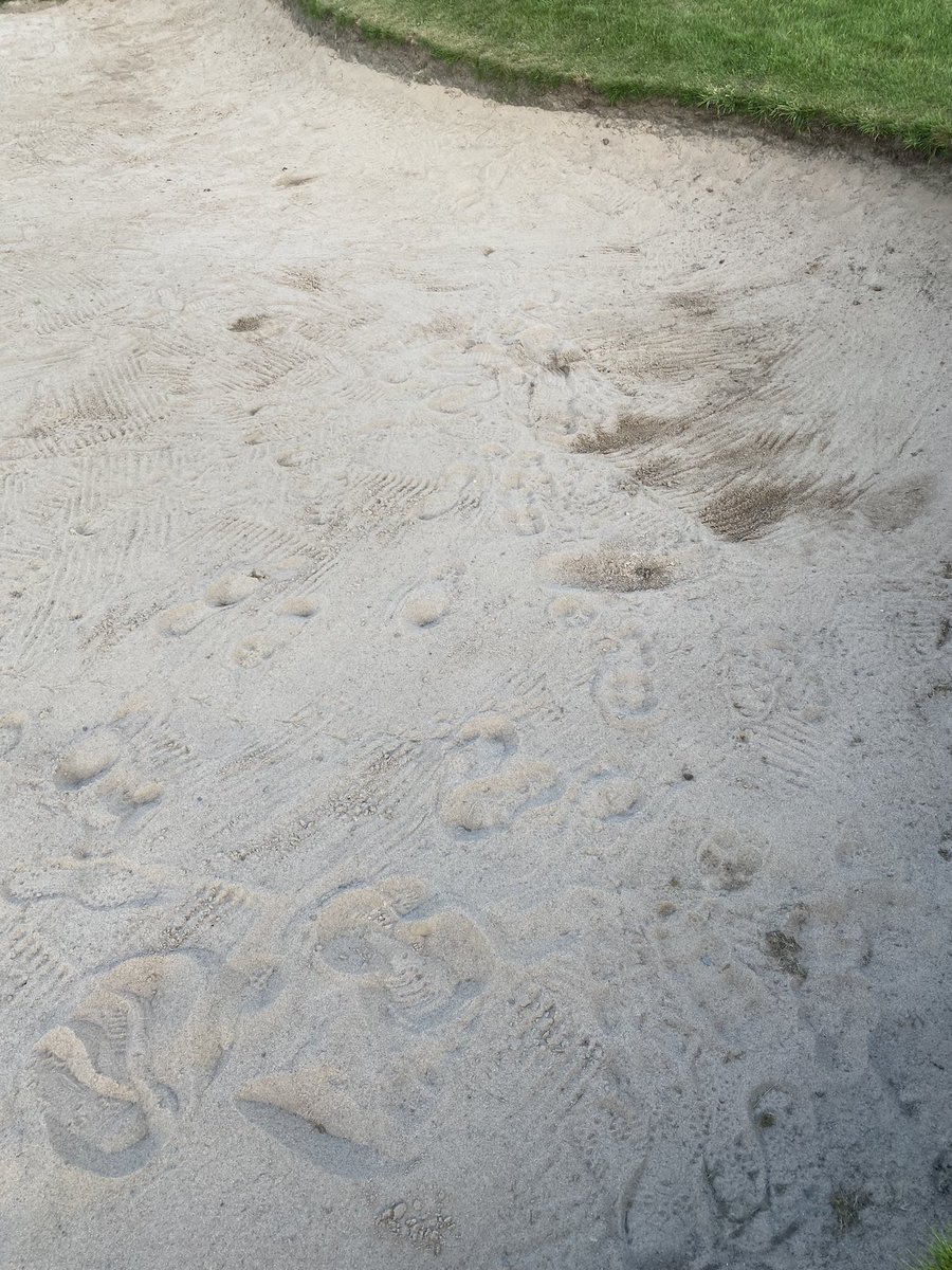 pikefoldgc's tweet photo. Bunker on 12th this morning, this has to stop, no excuse now, takes have been back in use in bunkers for 2 months #rakeit https://t.co/LP3D0JJRm6