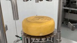 The Best Things in Life Are FREE - mailchi.mp/69d9385f1aad/c…