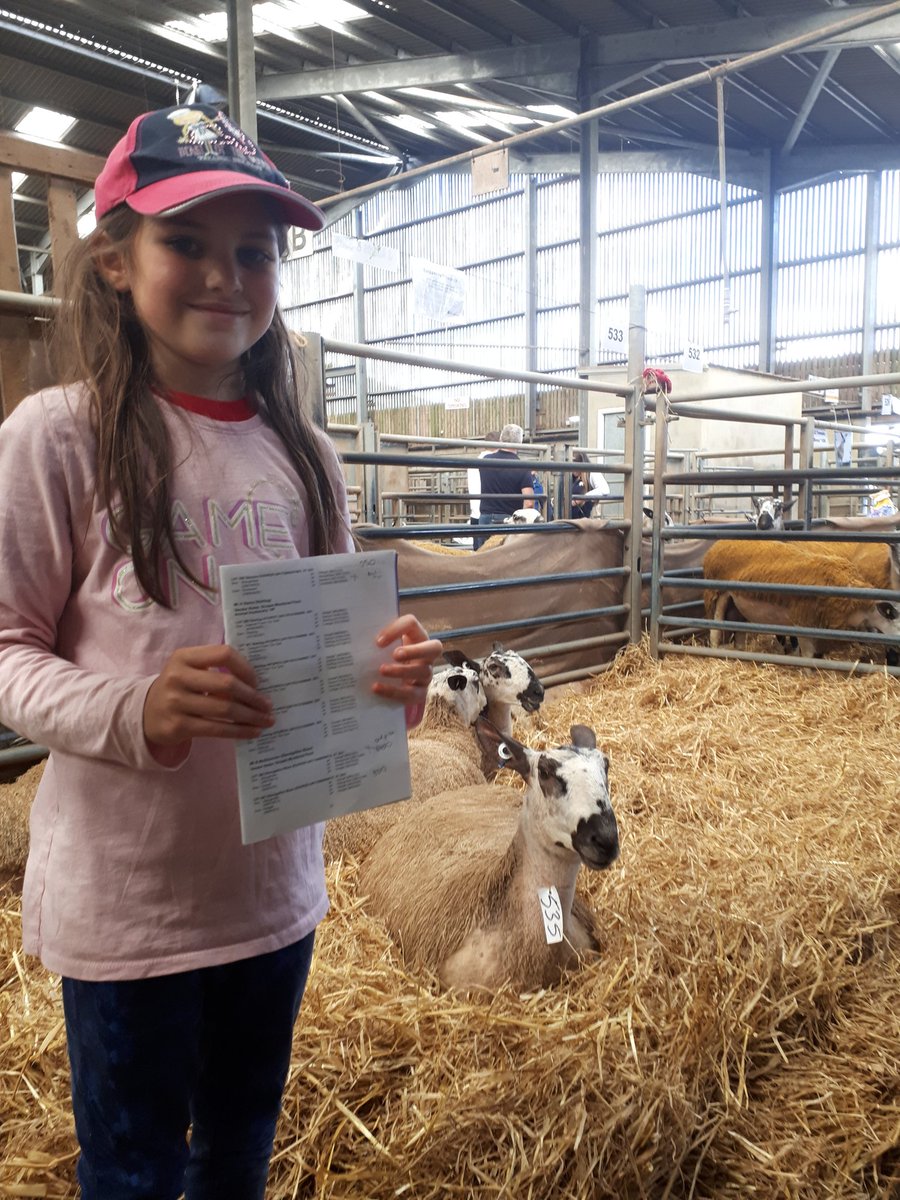 She bought her first sheep today #bluefacedleicester