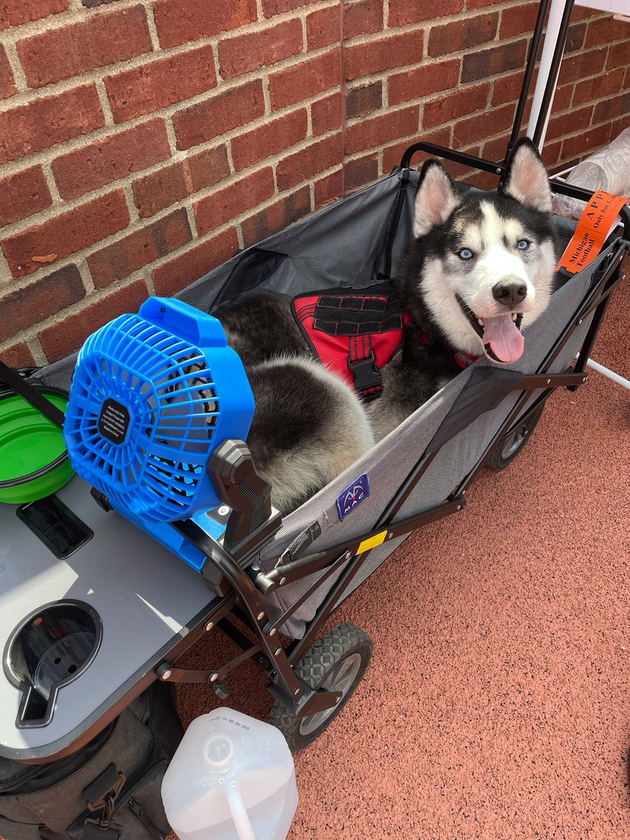 It's a #rufflife 😏 #mascot #bighouselive