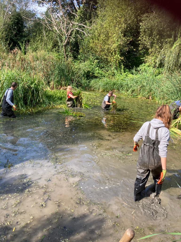 AndrewKauffma20's tweet photo. Great #TaskForce4Nature session @RBKC Holland Park #ForestSchool with 6 intrepid #Volunteer wading into pond reducing rush sedge and marginal vegetation around pond margins @RBKC_Ecology @idverdeUK TF4N Community Conservation Volunteering 3rd Saturday every month at Holland Park https://t.co/DMYbFAgERc