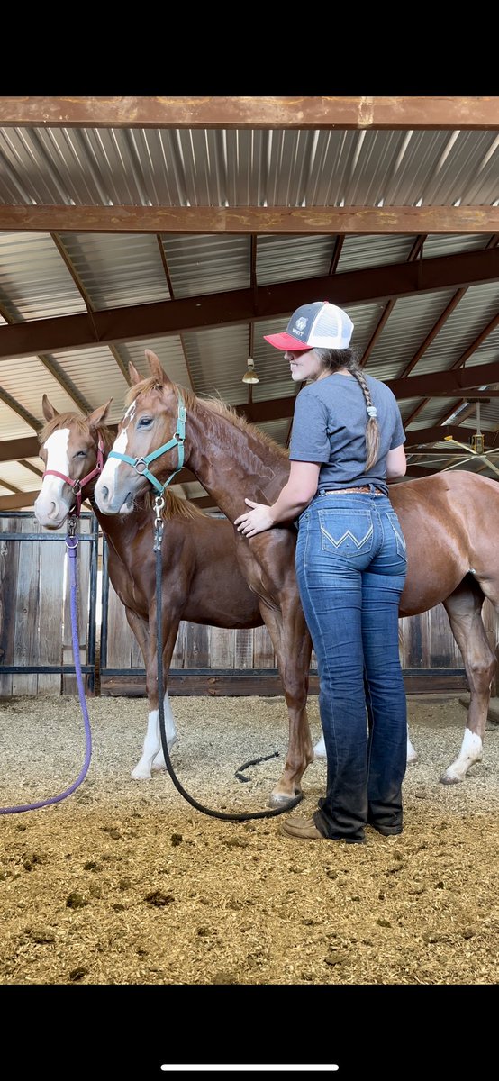 Katelynwhit97's tweet photo. Always fun messin’ around halter breaking babies https://t.co/lfW2x0Va41