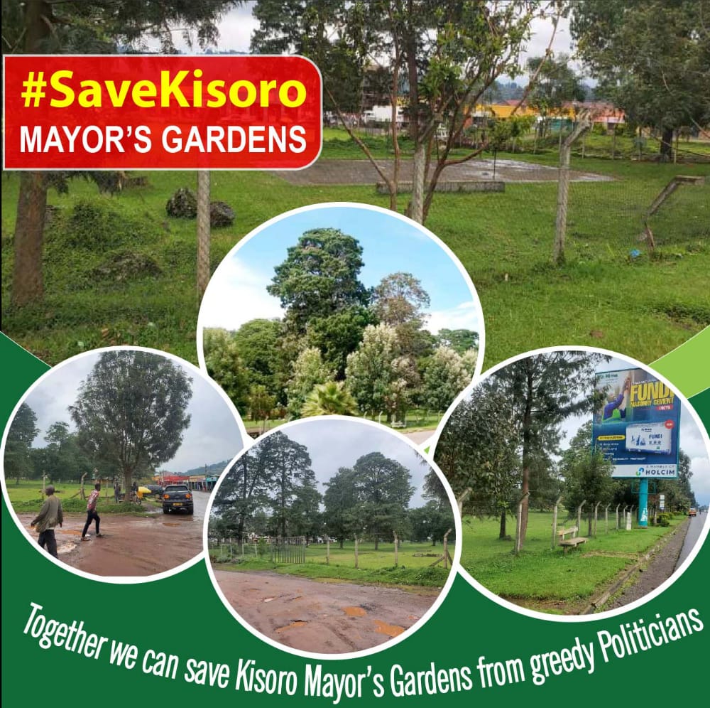 SDG #13 is action on climate but my district chair and municipality mayor find it better to sell off the only surviving green belt in the world's next number one tourism destination that is Kisoro district. 
Time to make our voices heard is now!
#Savemayorsgardens
#conservenature