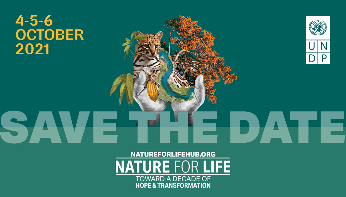 UN Biodiversity (@unbiodiversity) on Twitter photo The status quo cannot continue.
A war is being waged on nature. Time is running out to repair our relationship with the planet we rely on to survive.
Join us in finding the solutions on September 22 and October 4-6 at the #NatureForLife Hub.
➡️ natureforlifehub.org The status quo cannot continue.
A war is being waged on nature. Time is running out to repair our relationship with the planet we rely on to survive.
Join us in finding the solutions on September 22 and October 4-6 at the #NatureForLife Hub.
➡️ natureforlifehub.org