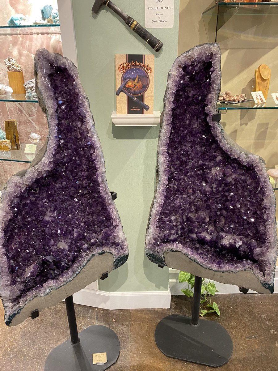 Solid shopping <a href="/MayoGRIT/">Mayo Clinic GRIT</a> but does anyone else just see a coronal of the lungs??                                                                #radiology 🤓                                             <a href="/MollyKrausMD/">Molly Kraus, MD FASA (she/her)</a> <a href="/WendalineVB/">Wendaline VanBuren</a> <a href="/SPSheedyMD/">Shannon Sheedy</a>