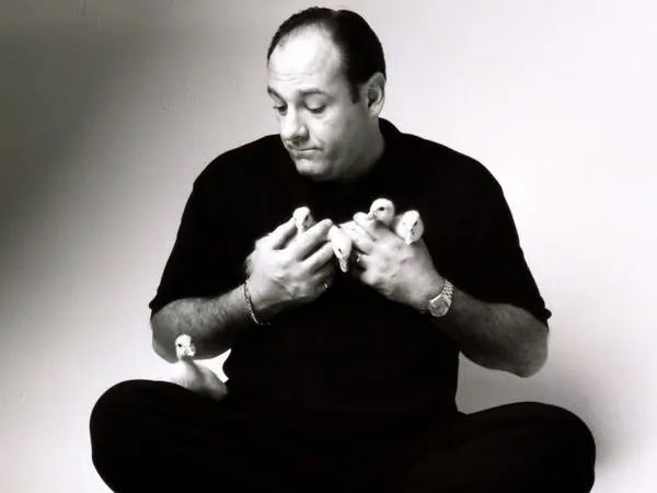 Happy birthday to the legend, James Gandolfini.  