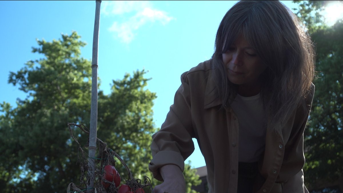 mark bennett tweet media