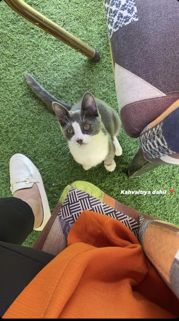sbhttgunes's tweet photo. 🧡 https://t.co/M110b5M0eT