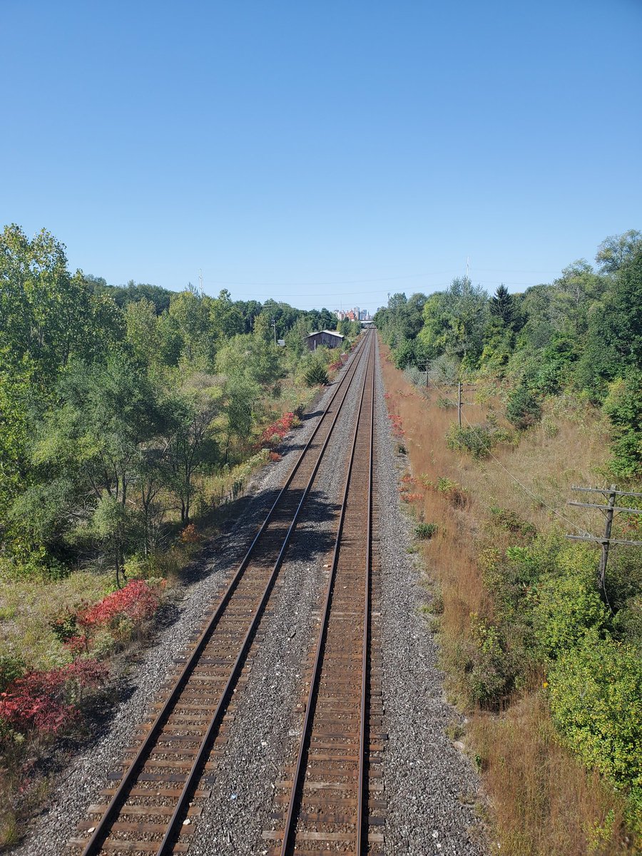 Sabrina Renaud (@sabrinarenaud5) on Twitter photo 