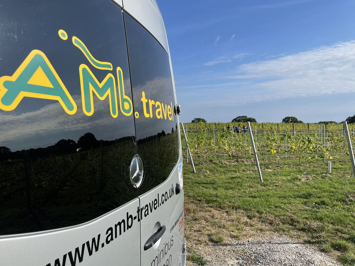 AMb Travel tweet media
