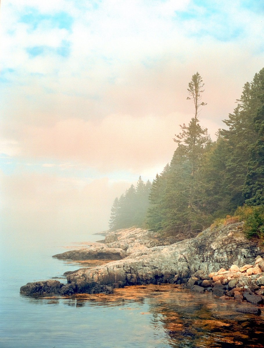 The (80 y/o) camera, the shot. 

#filmphotography 
#mediumformat