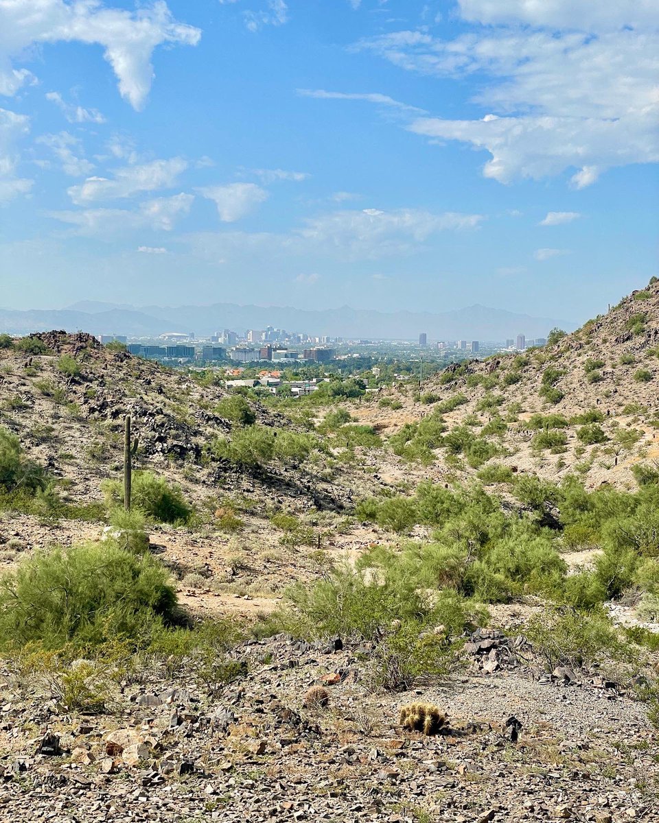 Took a little trip with the boys 🐶 Had to carry Hanklin Franklin Honey Badger Bentley home 🏠 #Hiking #SaturdayMorning #SaturdayMotivation