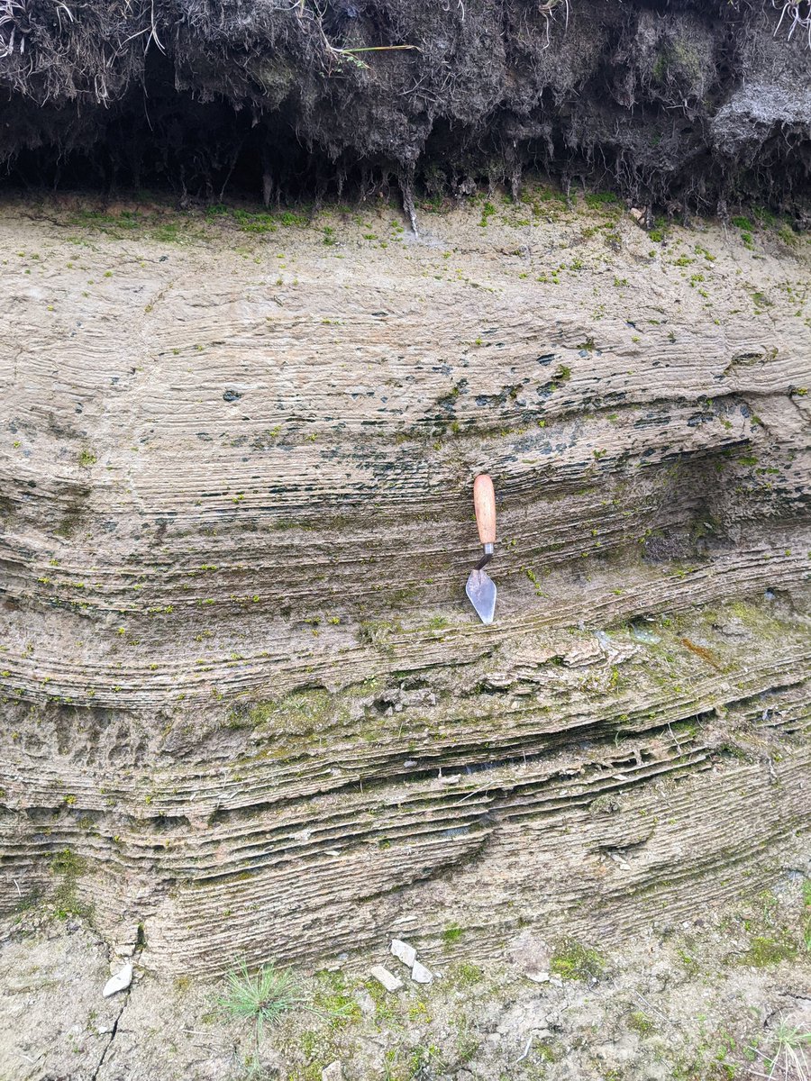 Matthew Carney tweet media