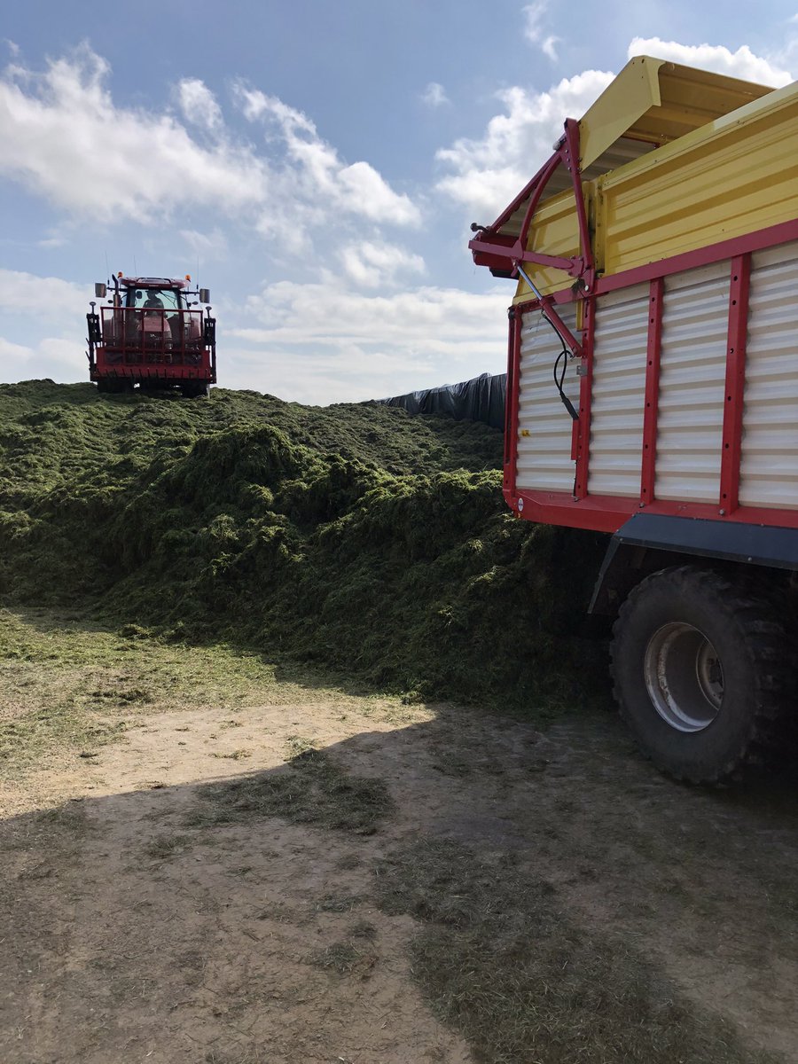 farmersalt's tweet photo. The obligatory last tip of the season photo! Third cut completed this afternoon. What a tremendous season it’s been for grass growth here in the Staffs Moorlands with mass amounts of quality grass ensiled this year. https://t.co/0t2i3KhPTa