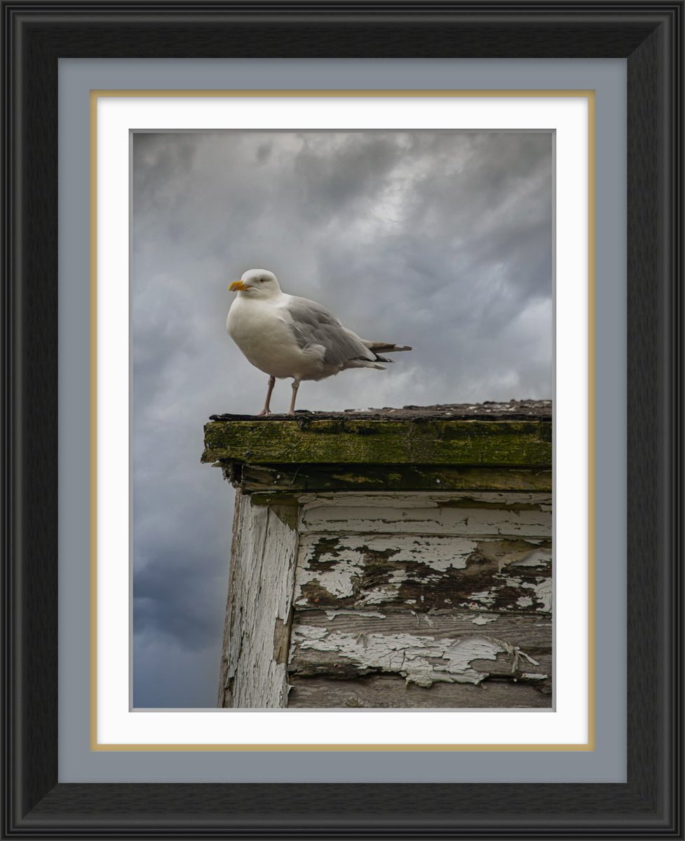 JeffThebrush's tweet image. 