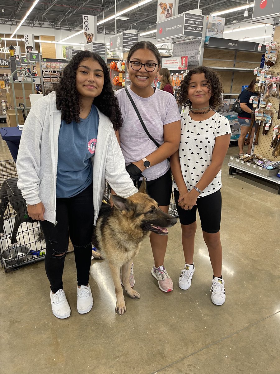 FBCASTX's tweet photo. #ClearTheShelters Adoption Event at PetSmart today was a #totalsuccess!!! We send three dogs, and none of them came back to the shelter with our staff. One was adopted and two are being fostered to adopt!!!!

Here’s sweet senior Sephiroth’s foster to adopt photo!!! https://t.co/QrrbyRe7KE