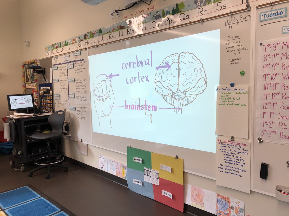 mrsbelcherqae's tweet image. Our class created ‘Flower Fields’ as our classroom #QAE calm body spot when our brains are flipped. #spsconnects @SoundDiscipline