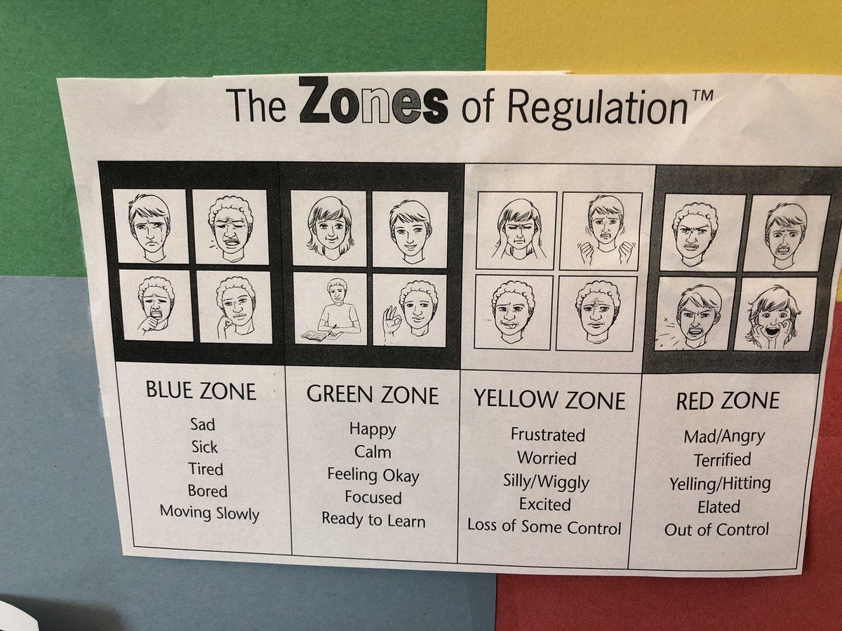 mrsbelcherqae's tweet image. Our class created ‘Flower Fields’ as our classroom #QAE calm body spot when our brains are flipped. #spsconnects @SoundDiscipline