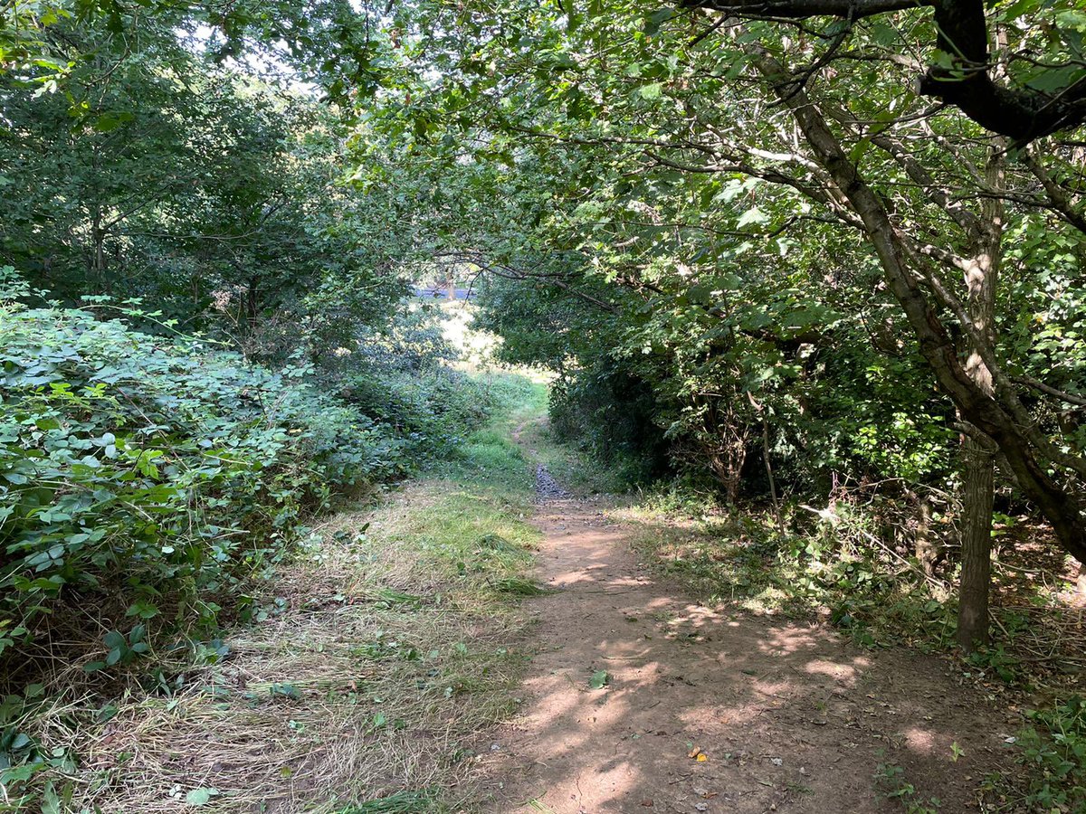 …and so it begins! Day 1 of course prep for our Bill Higson Memorial CX in Prospect Park on 3rd October. #BHCX