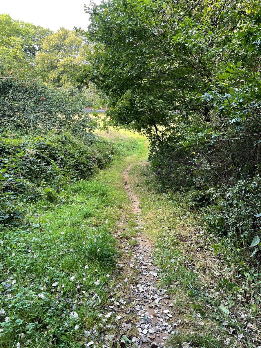 Bill Higson Memorial CX tweet media