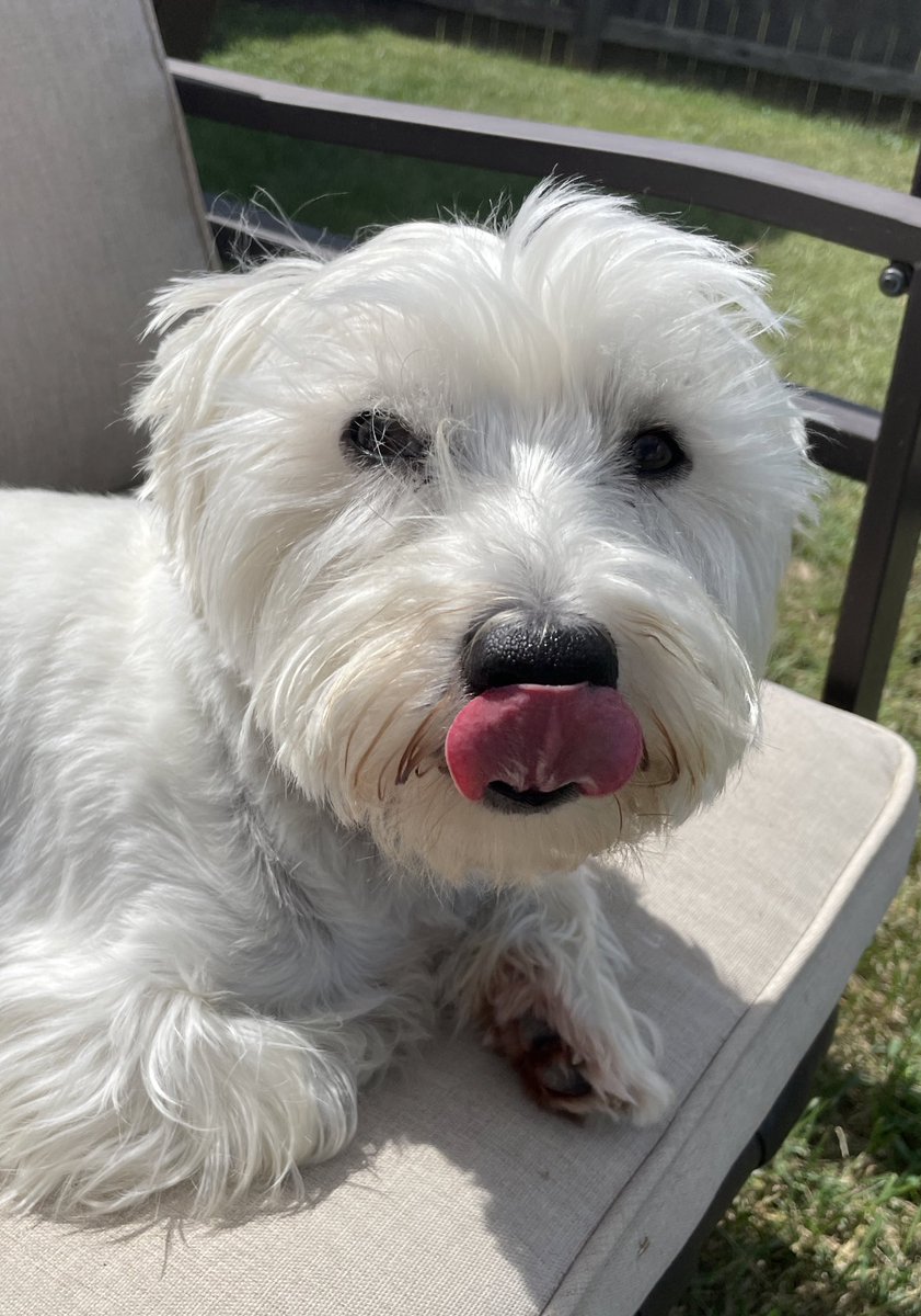 'Cause I don't care when I'm with my baby, yeah
All the bad things disappear
And you're making me feel like maybe I am somebody
I can deal with the bad nights
When I'm with my baby, yeah’ ♥️