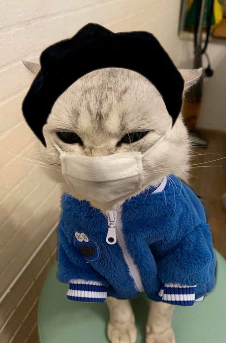 yoongi gummy smile tweet media