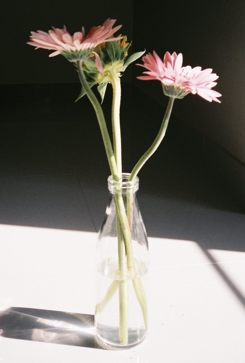 cybergeek_'s tweet image. A Story Behind My Photography:
My name is Pitcha and now currently live in Thailand. I am a 35mm film photographer which captures brief moments which are hidden in plain sight. My stories was told through a beauty of light and objects. #NFTPhotographer