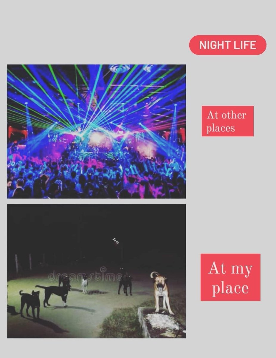 Srikarfleets's tweet photo. Sad reality!!!😢😢
#nightlife #Vijayawada https://t.co/3yaVAF27Cp