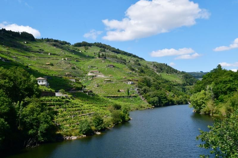 Xunta's tweet photo. 🏞️ Galicia convértese na segunda Comunidade española con máis superficie declarada como Reserva da Biosfera

➡️ Coa proclamación da Ribeira Sacra e Serras do Oribio e Courel, o 34,9% do territorio galego goza xa deste recoñecemento internacional

ℹ️ https://t.co/VjsYAChsYH https://t.co/bk8Jn3LVVB