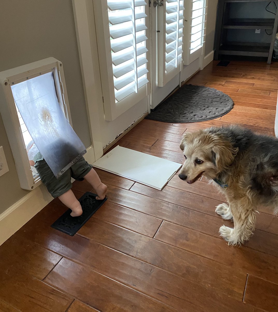 Utah Daily Snow tweet media