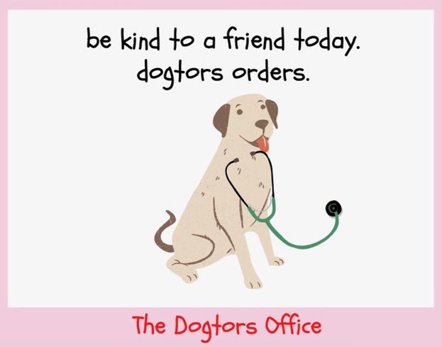 The Dogtors Office (@dogtorsoffice) on Twitter photo 