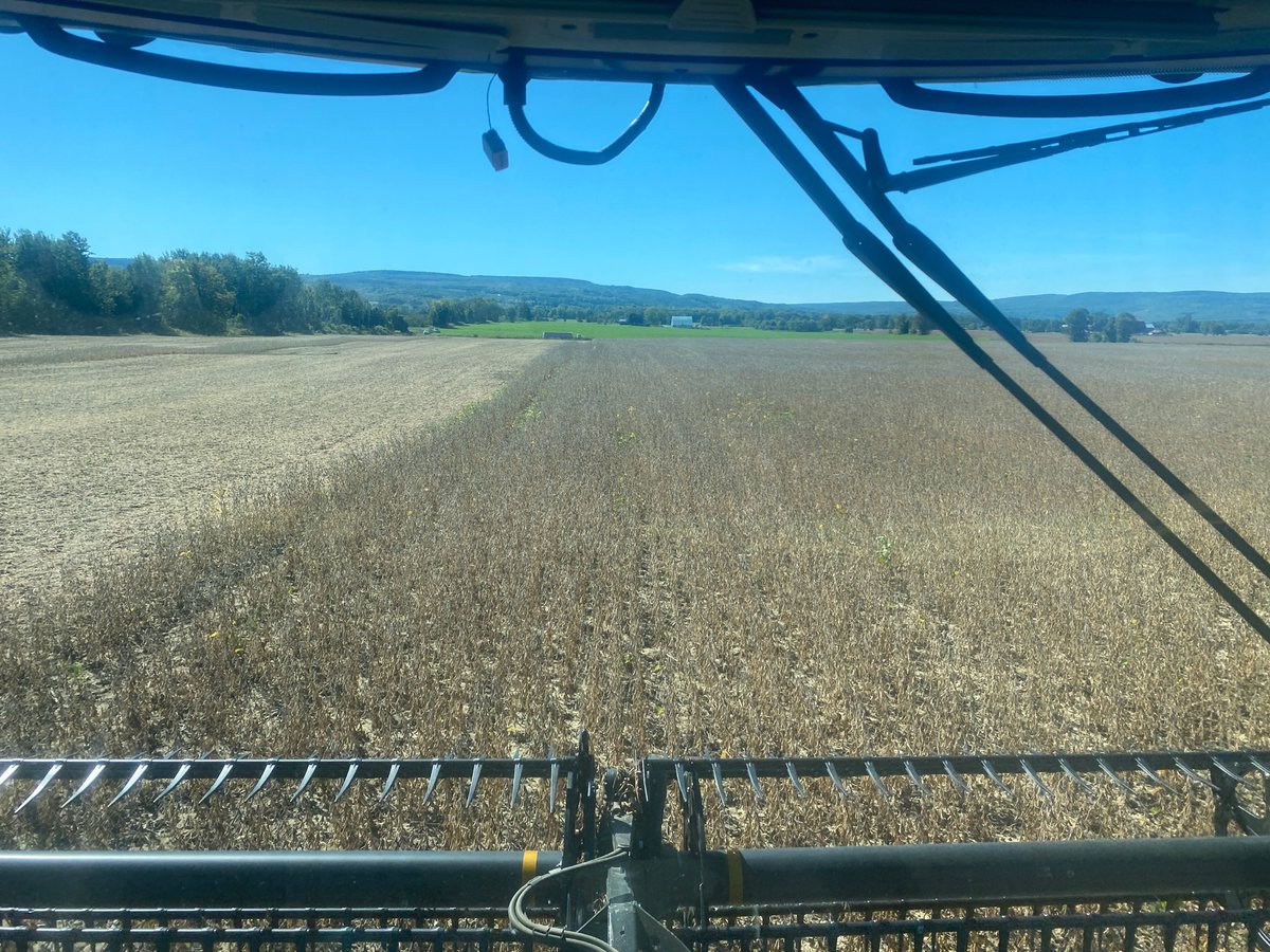Beauty day to combine some beans hope to have wheat in before Monday