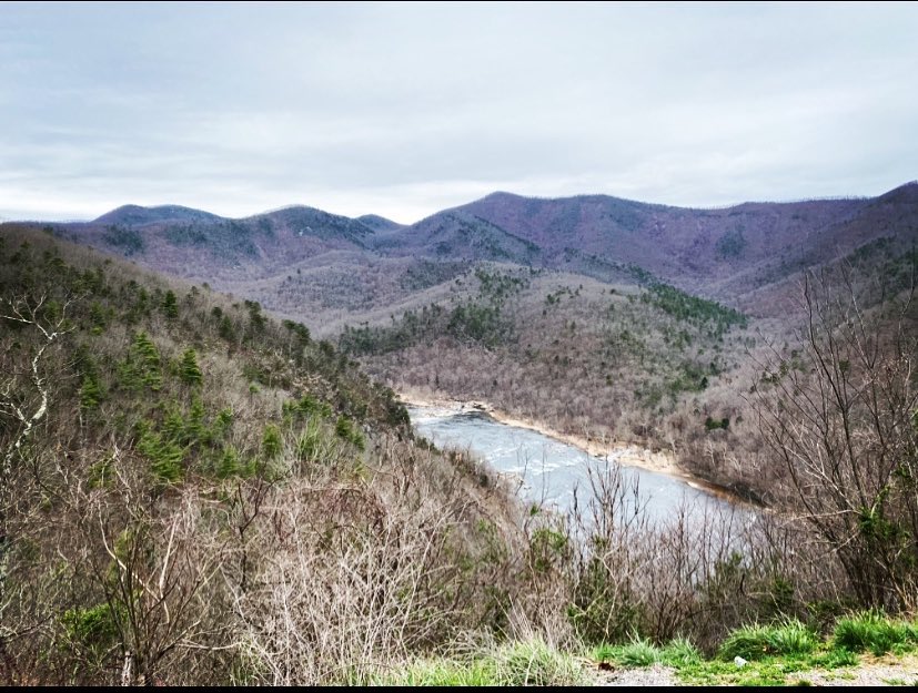 Noah the Polyglot ☕️ tweet media