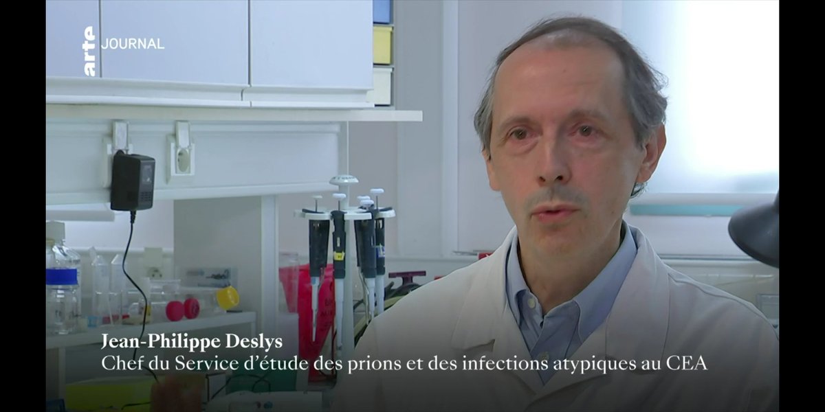CEA_Jacob_'s tweet photo. [#replay #actu] 🧠 Les mini-#cerveaux à l'honneur dans la séquence #sciences du dernier journal d'@ARTEfr avec le laboratoire partenarial @CEA_Jacob_  @SupBiotech I Retrouvez le replay dès à présent en ligne 👉https://t.co/dLFMbuqO1z https://t.co/kY9LlN3qxg
