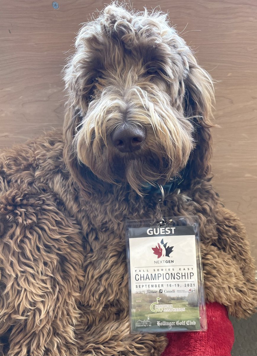 Thanks to the <a href="/HollingerGolf/">Hollinger Golf Club</a> team of volunteers and especially Owen Rigg for a great day at the NextGen event hosted by <a href="/GolfCanada/">Golf Canada</a>. We @towetag  including our PR Puppy “Jovi” were overwhelmed with your hospitality today. NEVER #ThrowInTheTowel