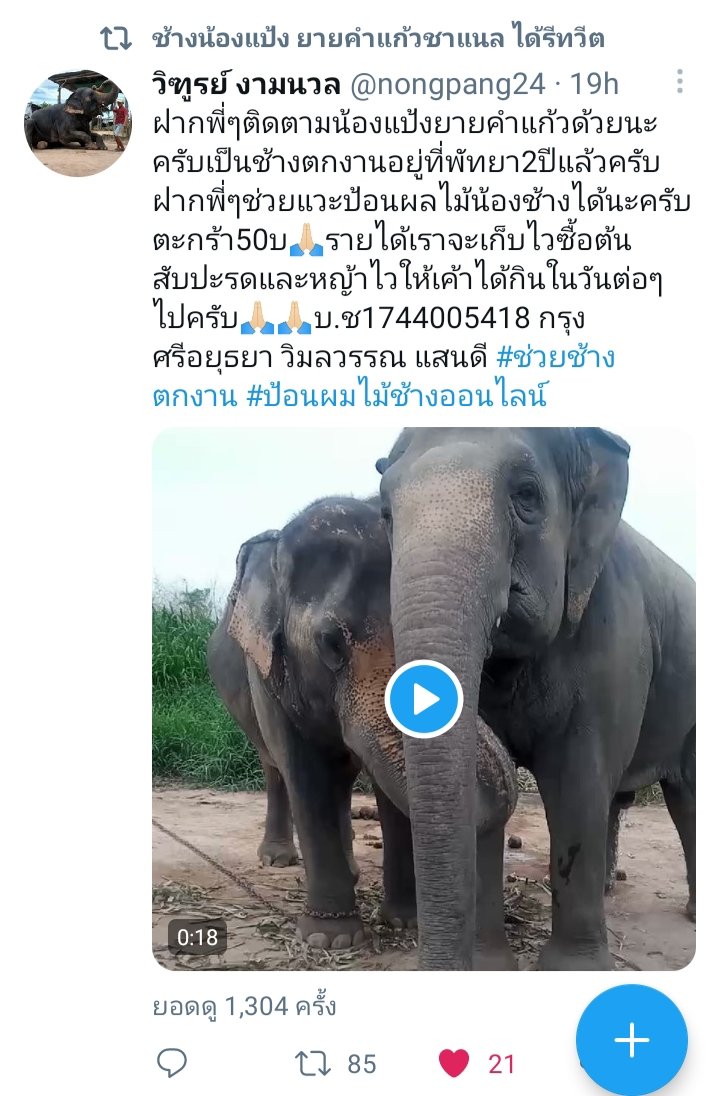Joy tweet media