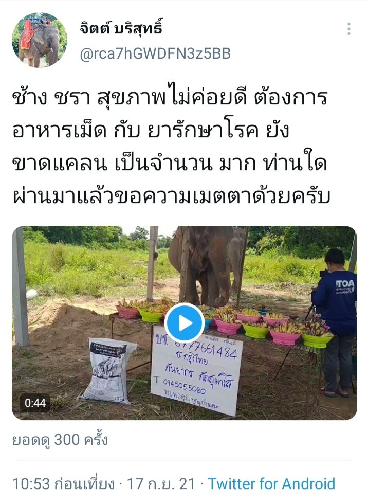 Joy tweet media